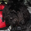 Profile picture of Eddie