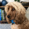 Profile picture of Daisy
