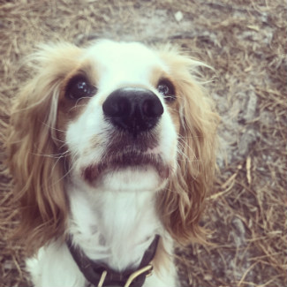 Profile picture of Dodger