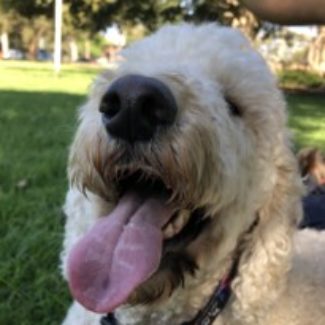 Profile picture of Jane