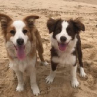 Profile picture of Tessa and Callie