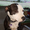 Profile picture of Nanna