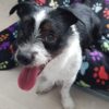 Profile picture of Midge