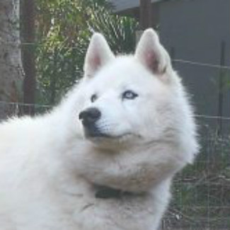 Profile picture of Storm