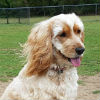 Profile picture of QQ